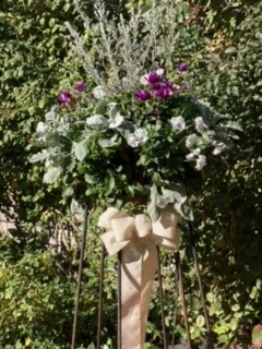 手術前の平和な日々