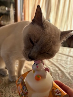 あけましておめでとうございます