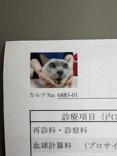 動物病院で・・