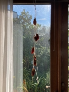 セカンドオピニオンの病院で