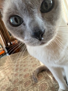 そこに光っているのは