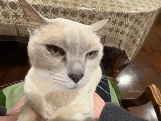 向かい合わせ