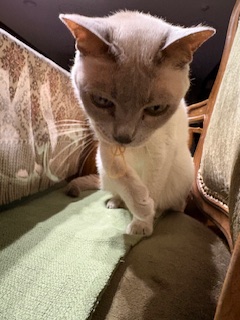 ゴム遊び大好き