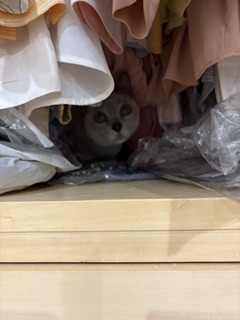 クローゼットのお約束