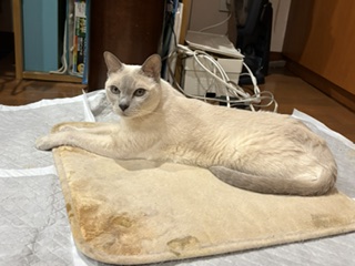 夏と冬