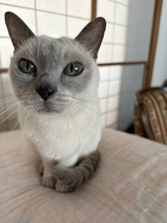 満足